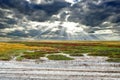 Wide prairies against the cloudy sky background Royalty Free Stock Photo
