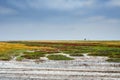 Wide prairies against the cloudy sky background Royalty Free Stock Photo