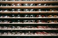 Wide range of glasses displayed in eyeglasses shop