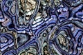Wide repeating sea nacre pattern Royalty Free Stock Photo