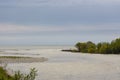 A wide river flows into the sea in spring.