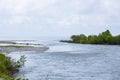 A wide river flows into the sea in spring.