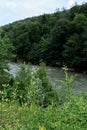 Wide river among mountains of gorge and green vegetation around. Stormy mountain river with bluish tinge from sky flows quickly Royalty Free Stock Photo