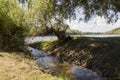 Wide river and small creek in summer meadow. Poplar fluff. June, july