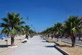 Wide road near beach with palms Royalty Free Stock Photo