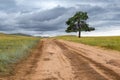 A wide road stretching into the distance and lonely tree against the backdrop of endless fields and hills on cloudy day Royalty Free Stock Photo