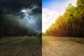 Wide sandy road near pine forest during sunny and stormy weather, collage Royalty Free Stock Photo