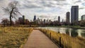 Wide scene of Chicago`s skyline from Lincoln Park`s South Pond Nature Boardwalk. Urban landscape with modern architecture Royalty Free Stock Photo