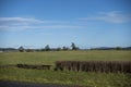 Wide, scenic view of a large plot of farm land in the Pacific Northwest Royalty Free Stock Photo