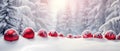 Wide-screen Christmas dreamy winter background landscape