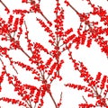 Wide seamless floral background pattern. Red Holly christmas berries, branches on white background.