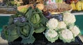 A wide selection of organic vegetables. Fresh, organic vegetables at a farmers market Royalty Free Stock Photo