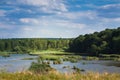 Wide and shallow river with fast flow and islands of reed plants, wild deciduous and coniferous forest in background, sunny summer Royalty Free Stock Photo