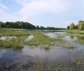 Wide shallow spills of the river are heavily overgrown with algae