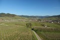 Wide shot of a beautiful small town sourrounded by vineyards in the Black forest, Germany