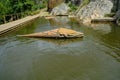 Wide shot of fish sculpture in water in Penha Garcia, Portugal