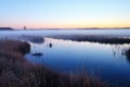 wide shot of fog hanging low over marshland at dawn