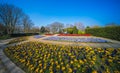 Wide shot of fresh flowers in the park under a blue sky