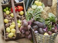 Wide shot of fruit and vegetables in a basket Royalty Free Stock Photo