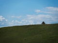 Grassy hill with a solitary young tree in the far distance, South Dakota landscape Royalty Free Stock Photo