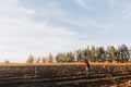 Wide shot of a latin farmer man walking in middle of the farmland. Royalty Free Stock Photo