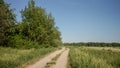 Wide shot of a narrow pathway between green trees and grass field under a blue sky Royalty Free Stock Photo