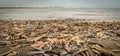 Wide shot of piles of wood and starfish laying on the sand by the shore on a gloomy day