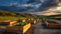 Wide Shot Raised Garden Beds Progress Royalty Free Stock Photo
