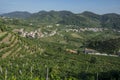 Vineyards of the Veneto valleys, Italy Royalty Free Stock Photo