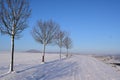 ThÃ¼r, Germany - 01 21 2023: Snow covered rural avenue