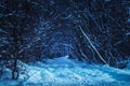 Wide snow covered path in the winter forest in a mysterious evening Royalty Free Stock Photo
