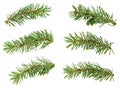 Wide spruce garland. Border of fir branches for Christmas. Branches Border , isolated on white background Royalty Free Stock Photo