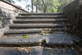 Wide staircase in the park with trees