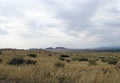 Wide steppe with yellow grass under a blue sky with white clouds Sayan mountains Siberia Russia Royalty Free Stock Photo