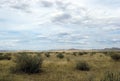 Wide steppe with yellow grass under a blue sky with white clouds Sayan mountains Siberia Russia Royalty Free Stock Photo