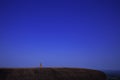 Wide stone courtyard of the stone, three whales and blue sky.