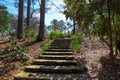 A wide stone staircase up a hill surrounded by trees with pink flowers and lush green plants and trees and bare winter trees Royalty Free Stock Photo