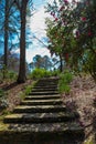 A wide stone staircase up a hill surrounded by trees with pink flowers and lush green plants and trees and bare winter trees Royalty Free Stock Photo