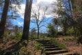 A wide stone staircase up a hill surrounded by trees with pink flowers and lush green plants and trees and bare winter trees Royalty Free Stock Photo