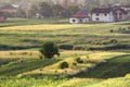 Wide summer panorama of new quiet residential suburban area. Lit