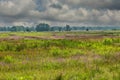 Wide swamp landscape in the stream valley of Rolder Diep, part of Drentse Aa Royalty Free Stock Photo