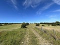 Wide track, running through the fields, with trees set against a blue sky in, Tong, Yorkshire, UK Royalty Free Stock Photo