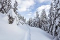 The wide trail. Beautiful landscape in the cold winter morning. Christmas forest. Location place the Carpathian Mountains, Ukraine Royalty Free Stock Photo