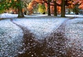 The wide trail is divided into two paths diverging in different directions. Autumn landscape with fallen leaves, frost and early