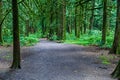 wide trail through green forest with tall trees sign to parking lot Royalty Free Stock Photo