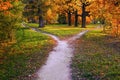 A wide trail in the rays of sunset in an autumn park branches into two narrow ones, leading in different directions