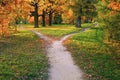 A wide trail strewn with fallen autumn foliage is divided into two paths that diverge in different directions. Autumn landscape Royalty Free Stock Photo