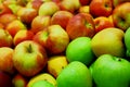 A wide variety of fresh, ecological apples at the store counter. Royalty Free Stock Photo