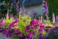 Mixed border of pink flowers in the garden at Chateau de Chaumont in the Loire Valley, France. Royalty Free Stock Photo