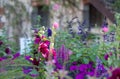 Mixed border of pink flowers in the garden at Chateau de Chaumont in the Loire Valley, France. Royalty Free Stock Photo